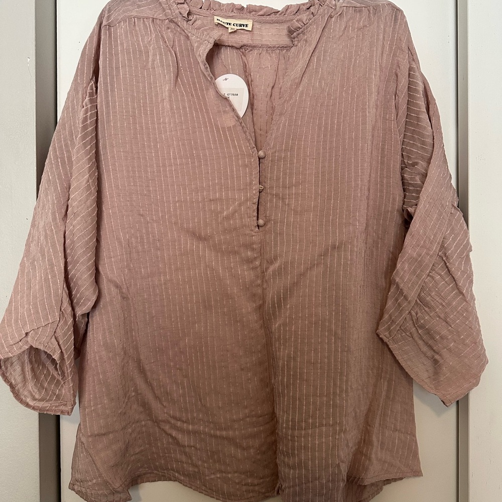 Haute Curve Semi-Sheer Pink Top